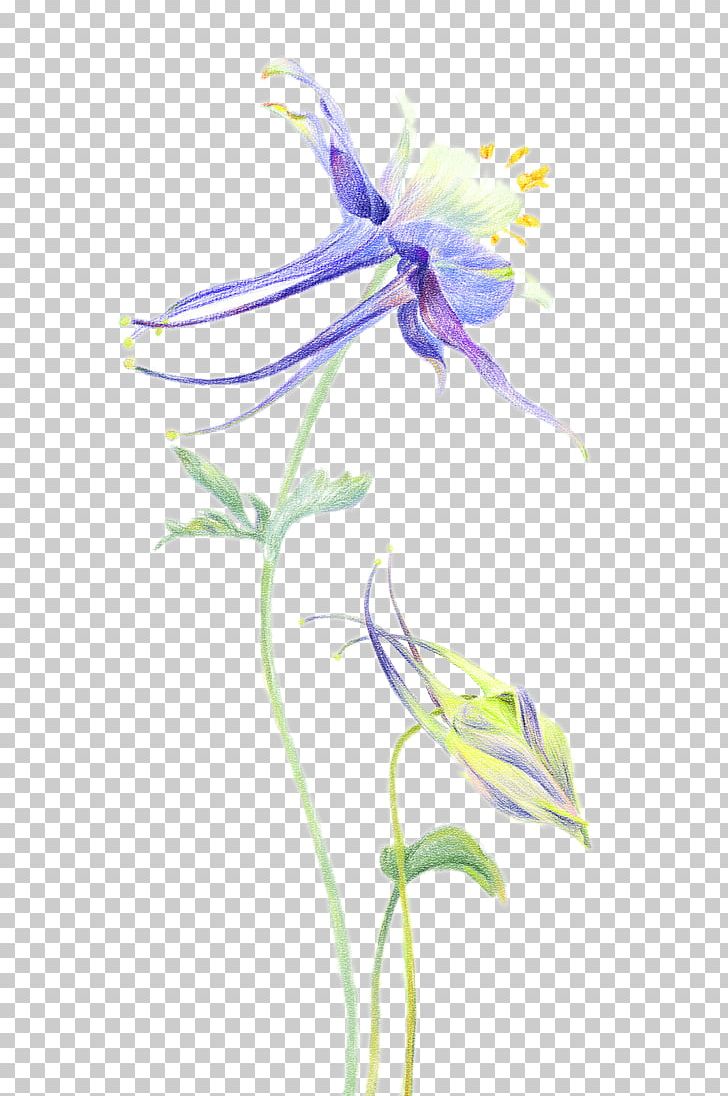 Petal Orchids Flower PNG, Clipart, Creative, Decoration, Flora, Flower, Flowering Plant Free PNG Download