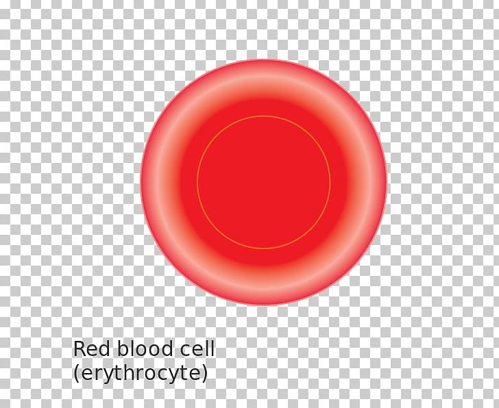 Red Blood Cell PNG, Clipart, Blood, Blood Cell, Cancer Research Uk, Cell, Circle Free PNG Download