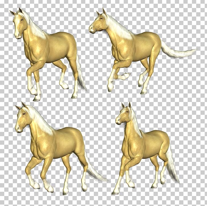 Running Horse Colt Foal PNG, Clipart, Animals, Animation, Colt, Digital Image, Donkey Free PNG Download