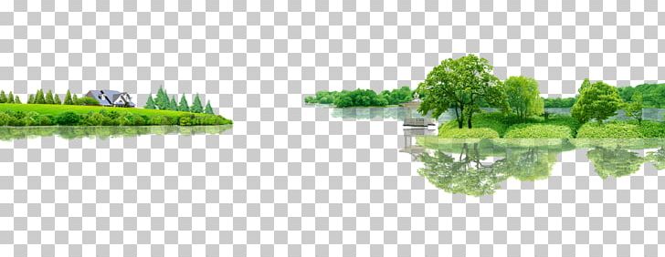 Tree Forest PNG, Clipart, Angle, Black Forest, Brand, Computer Wallpaper, Designer Free PNG Download