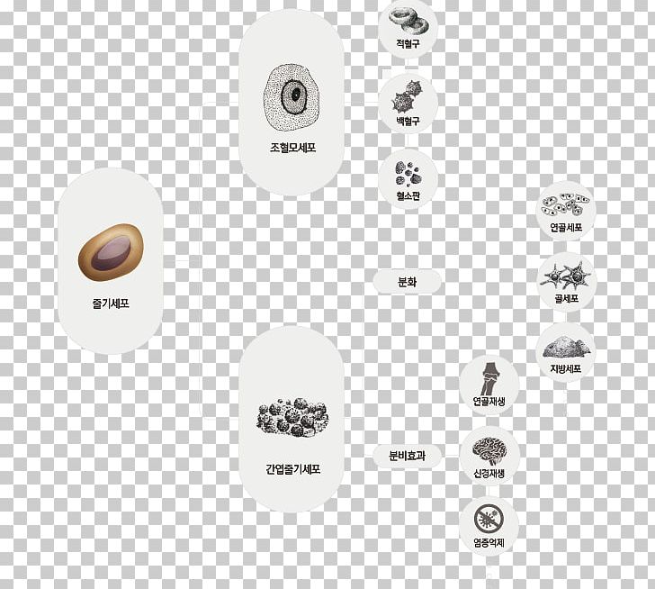 Electronics Font PNG, Clipart, Cord Blood, Electronics, Electronics Accessory, Hardware, Technology Free PNG Download