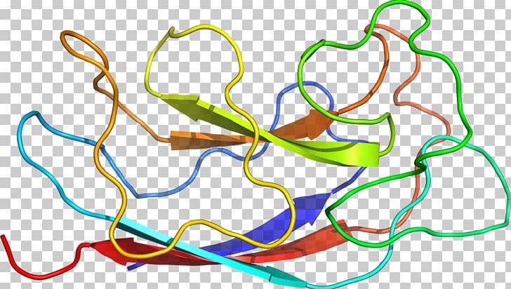 Line Point Organism PNG, Clipart, Area, Art, Circle, Lectin, Line Free PNG Download