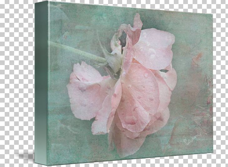 Pink M Petal PNG, Clipart, Flower, Its Raining, Petal, Pink, Pink M Free PNG Download
