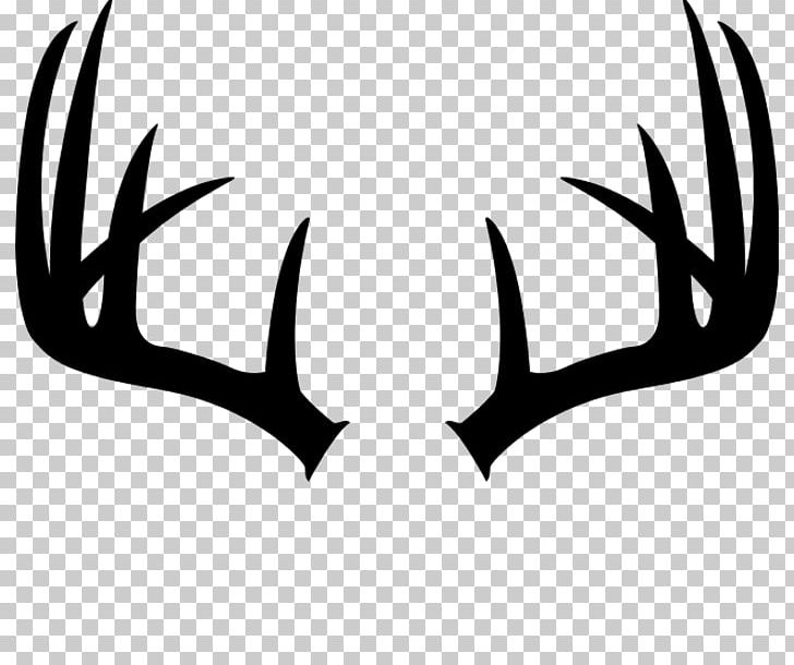 White-tailed Deer Antler Moose Elk PNG, Clipart, Animals, Antler, Black And White, Blacktailed Deer, Deer Free PNG Download