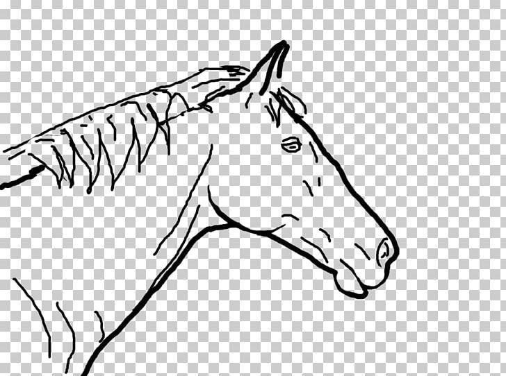 Mule Halter Foal Colt Mustang PNG, Clipart, Artwork, Black And White, Bridle, Cartoon, Colt Free PNG Download