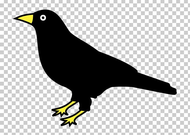 Raven Drawing Corvo PNG, Clipart, Animals, Beak, Bird, Black And White, Common Blackbird Free PNG Download