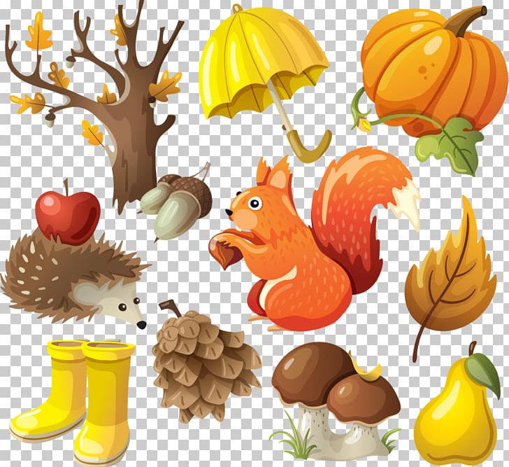 Autumn season clothes set. Hand drawn doodles and lettering vector  illustration. 2479865 Vector Art at Vecteezy