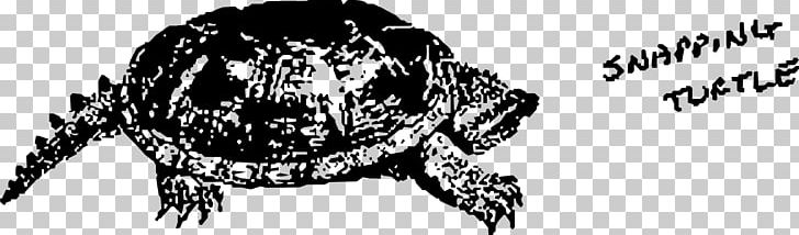 Common Snapping Turtle Drawing PNG, Clipart, Animal, Animals, Art, Black, Black And White Free PNG Download