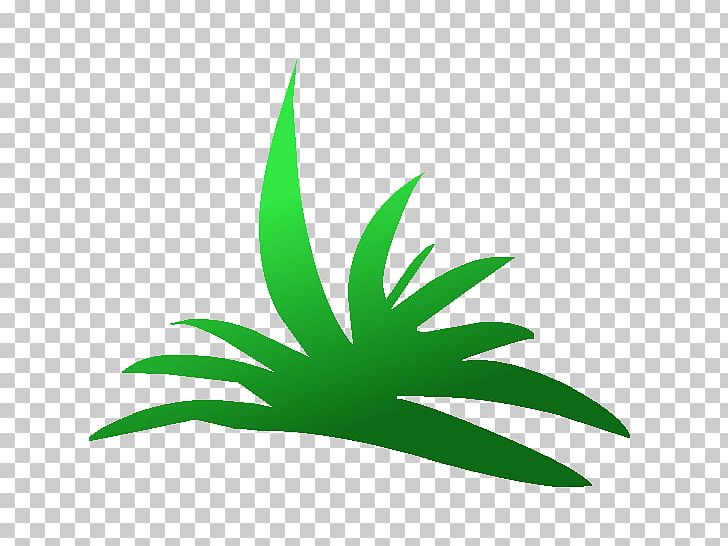 Drawing Game Plant PNG, Clipart, Aloe Vera, Arecaceae, Drawing, Educational Game, Game Free PNG Download