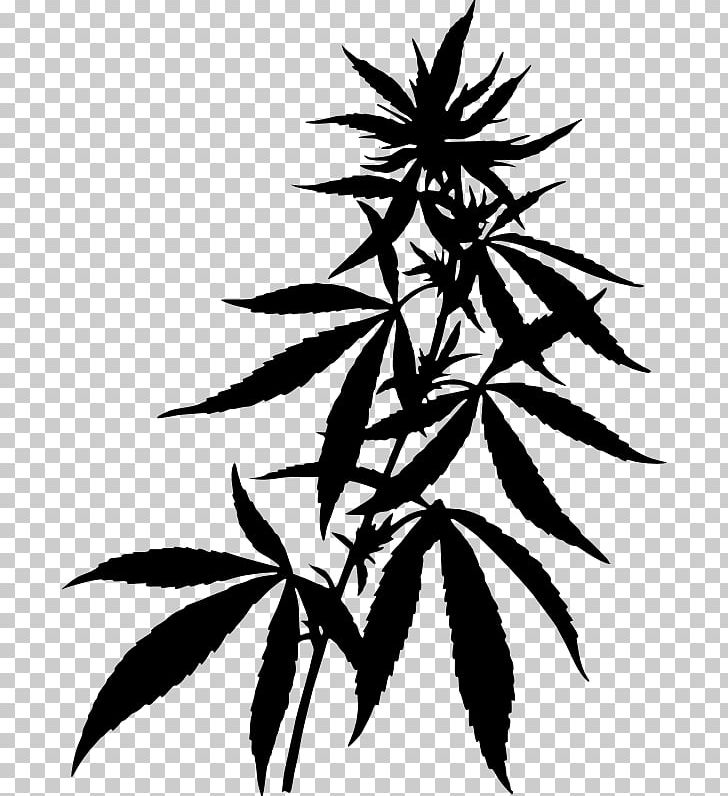 Cannabis Drawing Hemp PNG, Clipart, Black And White, Branch, Cannabis, Cannabis Sativa, Cannabis Smoking Free PNG Download