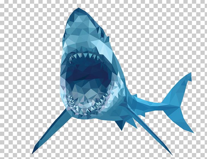 Great White Shark Tiger Shark PNG, Clipart, Animals, Blacktip Reef Shark, Bull Shark, Carcharhinus Amblyrhynchos, Cartilaginous Fish Free PNG Download