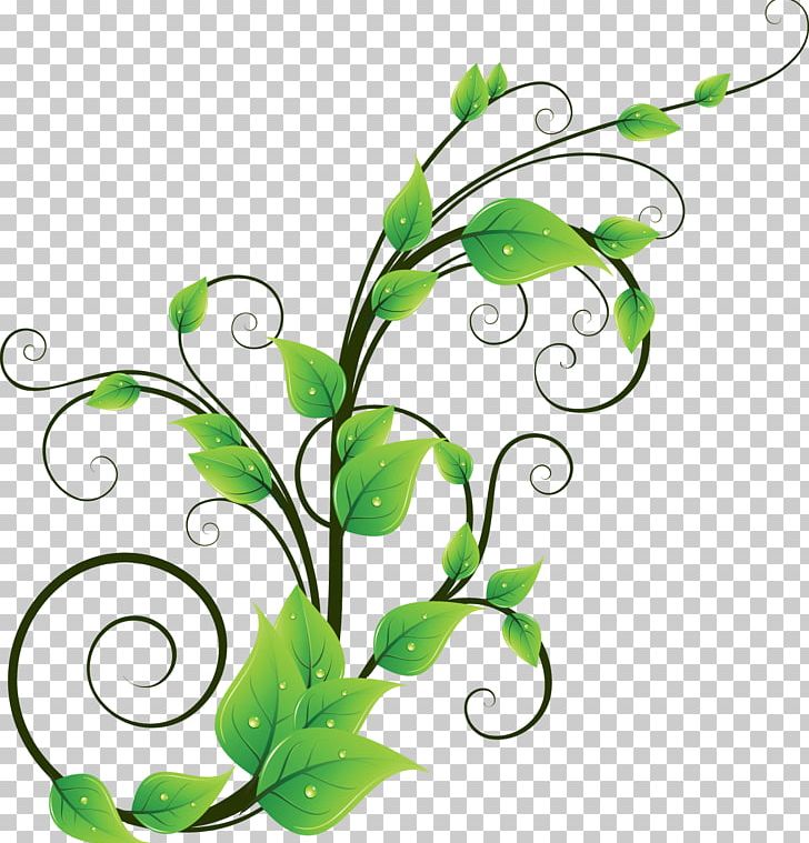 Plant Vine Encapsulated PostScript PNG, Clipart, Body Jewelry, Branch, Cdr, Encapsulated Postscript, Flora Free PNG Download