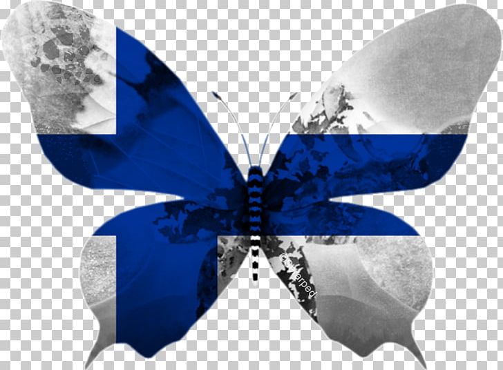 Butterfly Eurovision Song Contest 2013 Flag Of Costa Rica PNG, Clipart, Arthropod, Blue, Butterflies And Moths, Butterfly, Costa Rica Free PNG Download