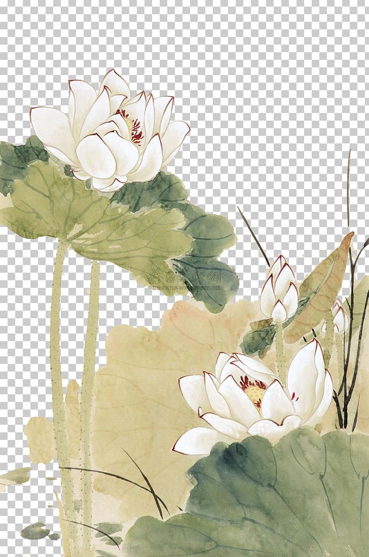 Nelumbo Nucifera Chinese Painting Gongbi PNG, Clipart, Flower, Flower Arranging, Independent, Ink, Ink Wash Painting Free PNG Download