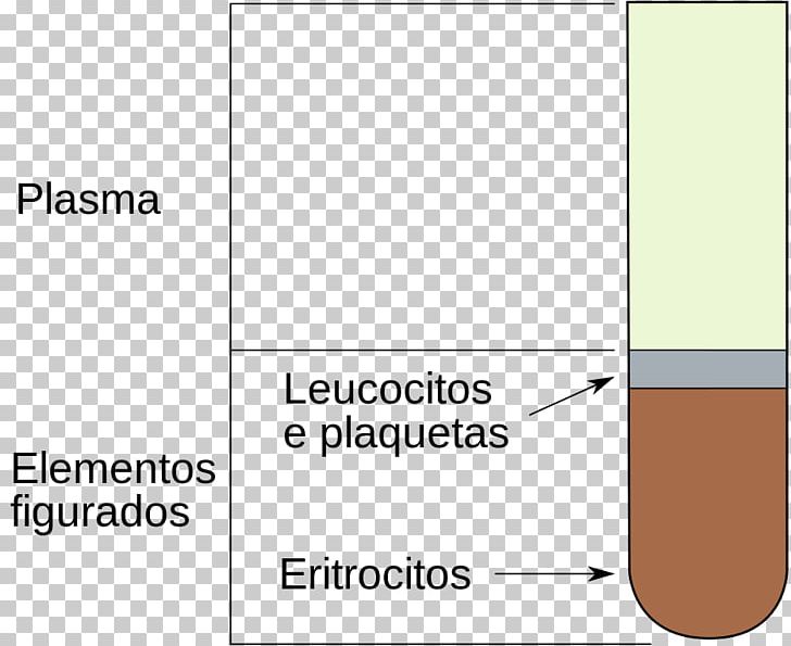 Hematocrit Red Blood Cell Haematopoiesis PNG, Clipart, Anatomy, Angle, Area, Blood, Blood Cell Free PNG Download