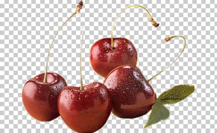 Cherry Cerasus Fruit PNG, Clipart, Auglis, Cerasus, Cherry, Computer Icons, Food Free PNG Download