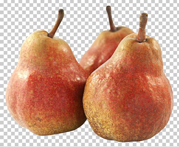 Fruit Asian Pear PNG, Clipart, Accessory Fruit, Apple, Asian Pear, Digital Media, Food Free PNG Download