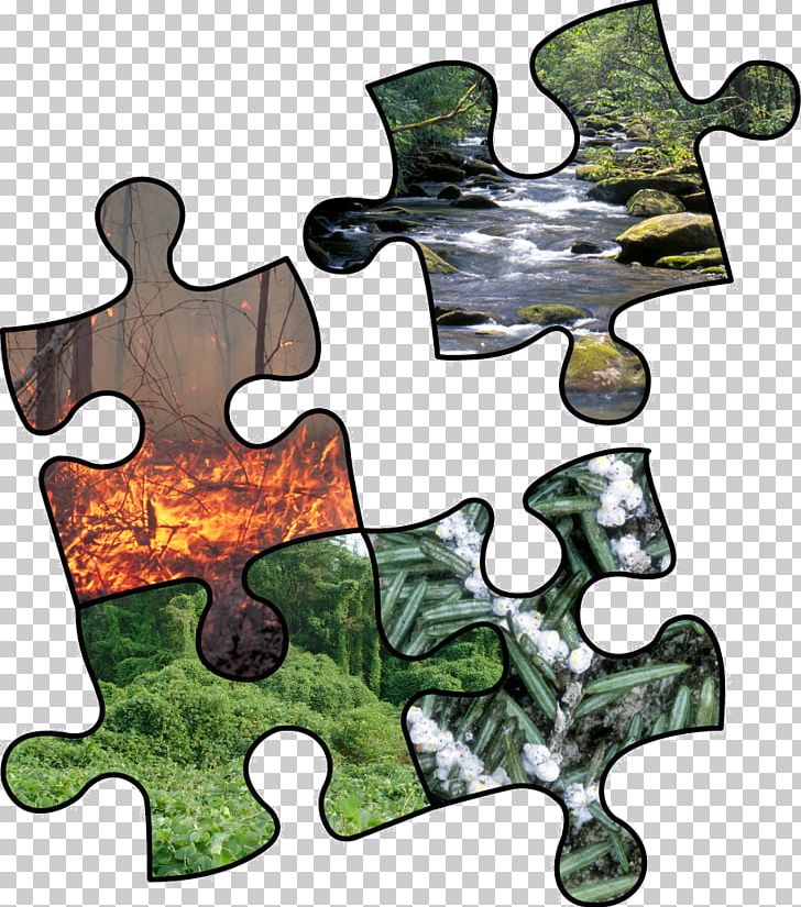 Risk Assessment Risk Management Riesgo Ambiental Natural Environment PNG, Clipart, Craft, Forest, Forest Management, Jigsaw Puzzles, Leaf Free PNG Download