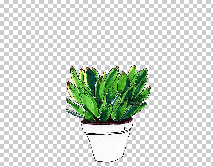 Drawing Cactaceae Succulent Plant PNG, Clipart, Art, Cactaceae, Digital Art, Doodle, Drawing Free PNG Download
