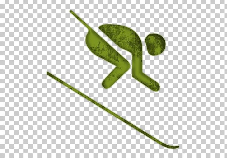 Going Skiing! Alpine Skiing Cross-country Skiing Sports PNG, Clipart, Alpine Skiing, Biathlon, Crosscountry Skiing, Downhill, Grass Free PNG Download