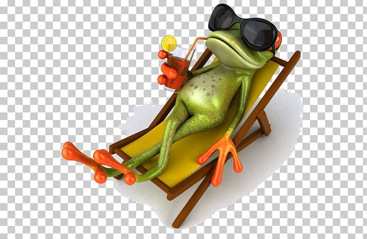 Tree Frog Lithobates Clamitans Stock Photography PNG, Clipart, Amphibian, Australian Green Tree Frog, Depositphotos, Flying Frog, Frog Free PNG Download