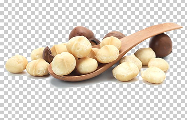 Macadamia Oil Macadamia Nut Tree Nut Allergy PNG, Clipart, Food, Hazelnut, Ingredient, Isolated, Macadamia Free PNG Download