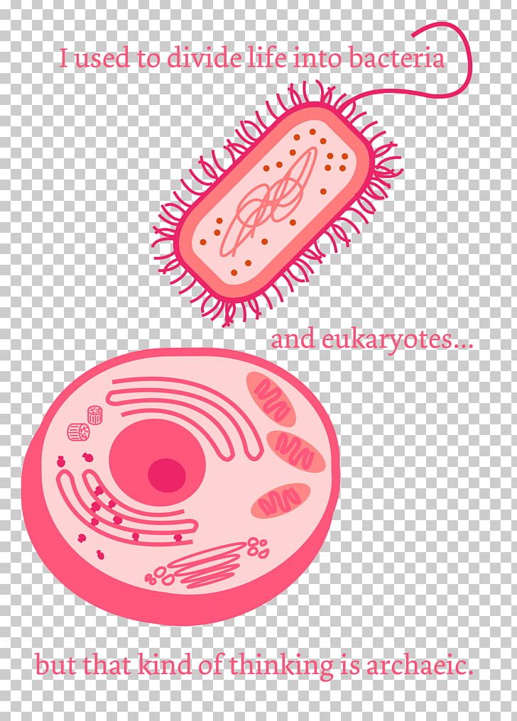 Pun Science Bacteria Microorganism PNG, Clipart, Area, Bacteria, Chemistry, Circle, Education Science Free PNG Download