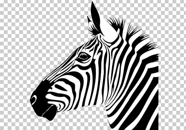 T-shirt Zebra Horse Zazzle Clothing PNG, Clipart, Animal, Animal Print, Black And White, Clothing, Embroidery Free PNG Download