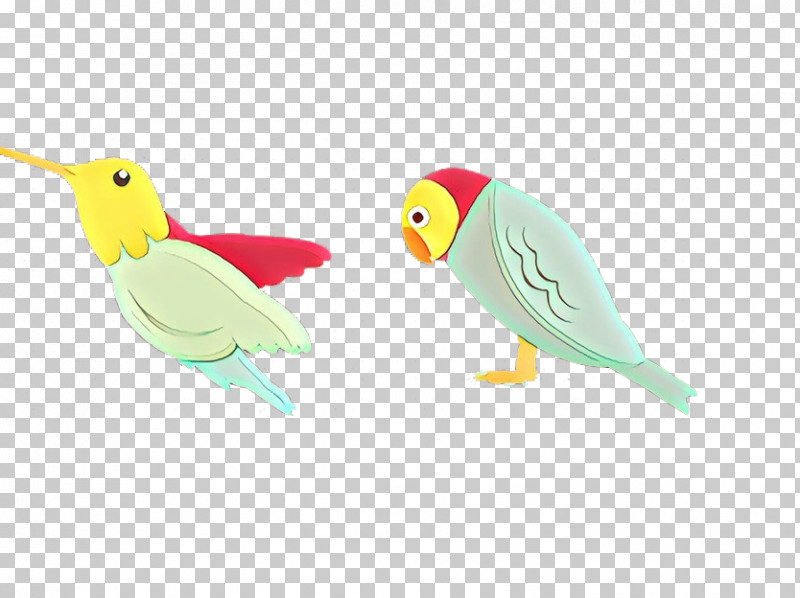 Feather PNG, Clipart, Animal Figure, Beak, Bird, Budgie, Feather Free PNG Download