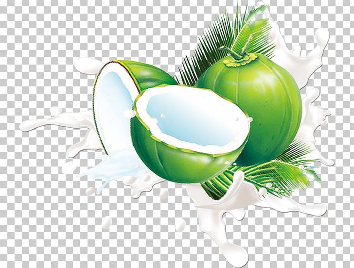 Juice Coconut Milk Fruit PNG, Clipart, Alcoholic Drink, Blueberry, Coconut, Coconut Leaves, Coconut Milk Free PNG Download
