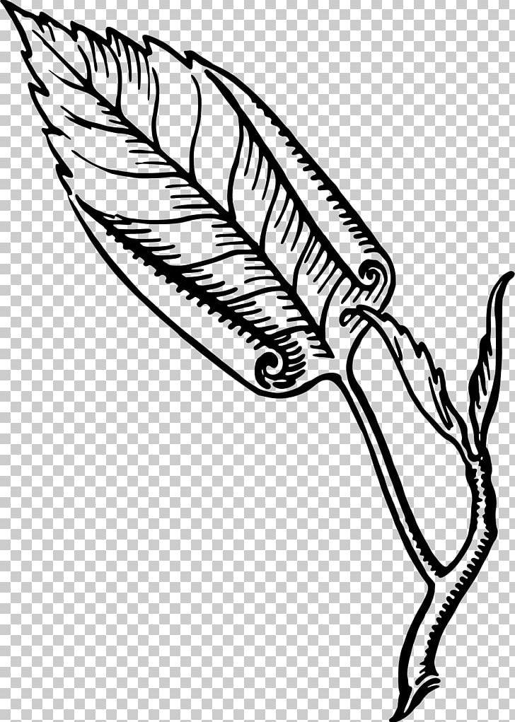 Leaf PNG, Clipart, Artwork, Beak, Black And White, Chandelier, Computer Icons Free PNG Download