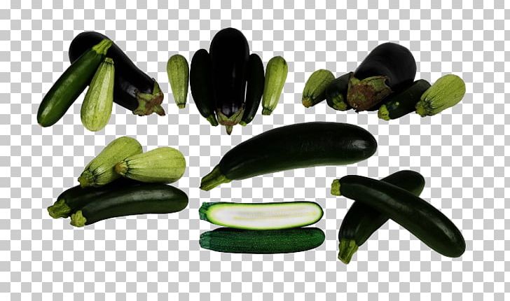 Cucumber Stuffing Eggplant PNG, Clipart, Cartoon Eggplant, Cucumber, Cucumber Gourd And Melon Family, Cucumis, Eggplant Free PNG Download