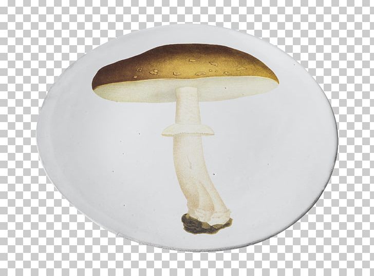 Mushroom PNG, Clipart, Mushroom, Nature, Saintastier, Table Free PNG Download