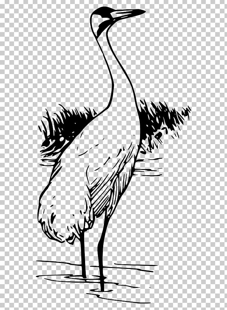 Whooping Crane Bird PNG, Clipart, Artwork, Beak, Bird, Black And White, Crane Free PNG Download