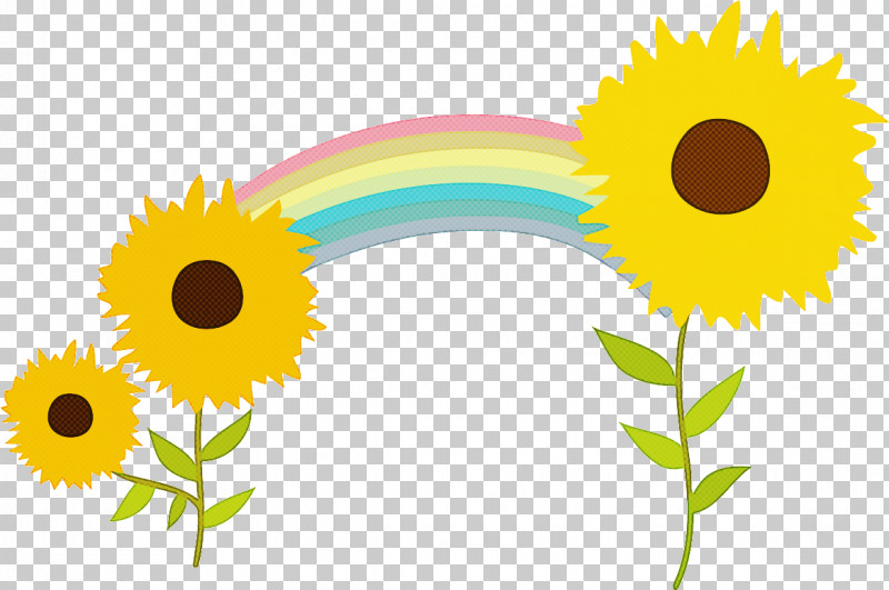 Sunflower Summer Flower PNG, Clipart, Analytic Trigonometry And Conic Sections, Circle, Common Sunflower, Mathematics, Meter Free PNG Download
