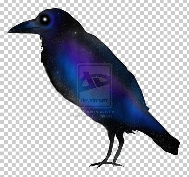 American Crow New Caledonian Crow Cobalt Blue PNG, Clipart, American Crow, Beak, Bird, Blue, Cobalt Free PNG Download