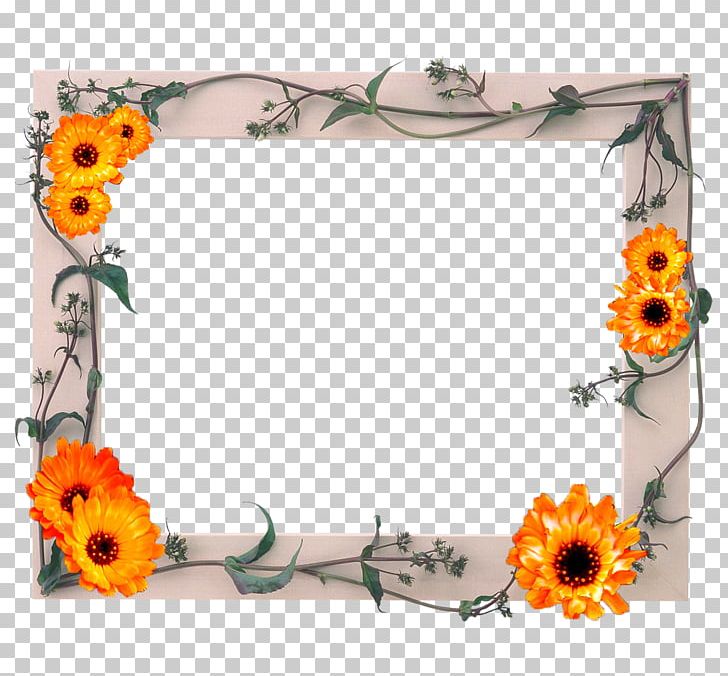 Frames Photography Glass PNG, Clipart, Cut Flowers, Desktop Wallpaper, Download, Flora, Floral Design Free PNG Download