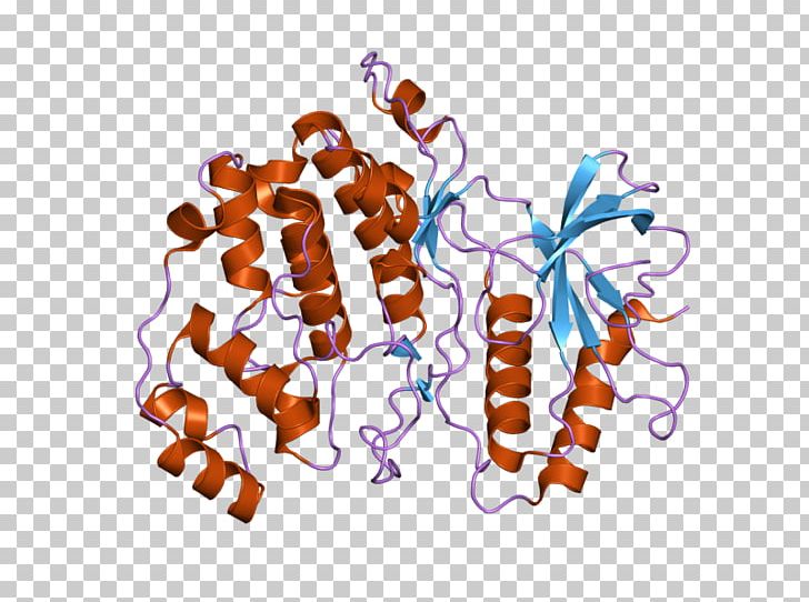 MAPK1 Mitogen-activated Protein Kinase PNG, Clipart, Art, Ebi, Enzyme, Erk, Gene Free PNG Download