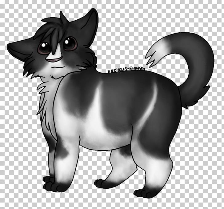 Whiskers Kitten Dog Black Cat PNG, Clipart, Animals, Black, Black And White, Black Cat, Black M Free PNG Download