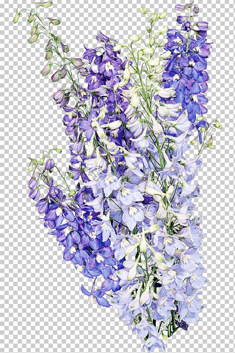 Artificial Flower PNG, Clipart, Artificial Flower, Cut Flowers, Delphinium, Dendrobium, English Lavender Free PNG Download