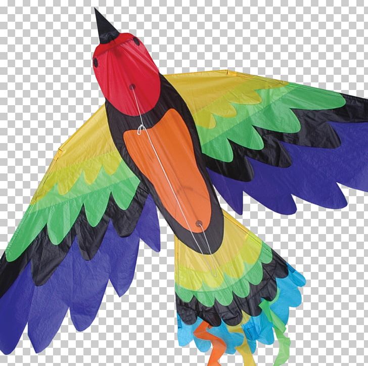 Bird Sport Kite Flying Orange Game PNG, Clipart, Animals, Beak, Bird, Bowed Kite, Box Kite Free PNG Download