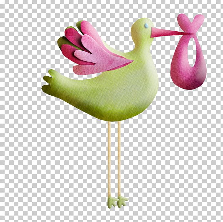 Water Bird Cygnini PNG, Clipart, Adobe Illustrator, Anatidae, Animal, Animals, Beak Free PNG Download