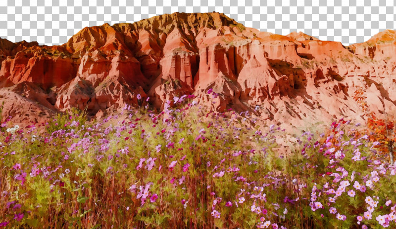 Outcrop Vegetation Shrubland National Park Wilderness PNG, Clipart, Badlands National Park, Canyon Bicycles, Cliff M, Ecoregion, Geology Free PNG Download