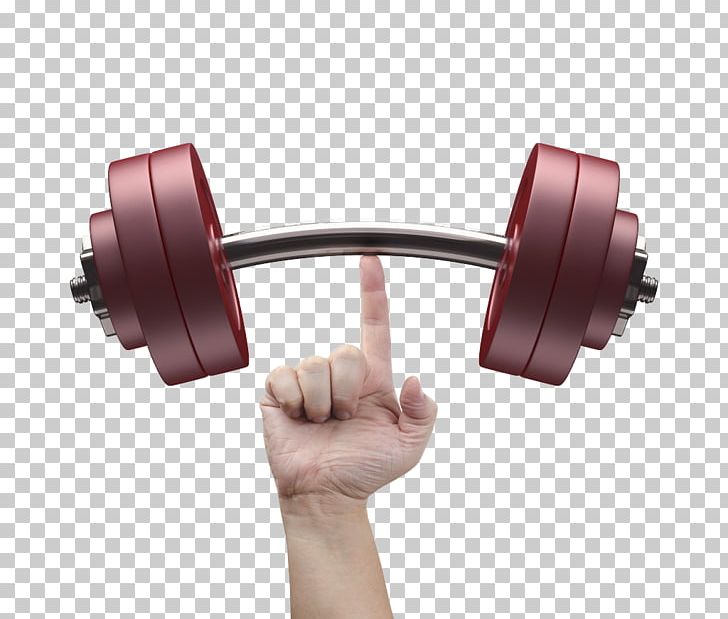 curved weight lifting barbell