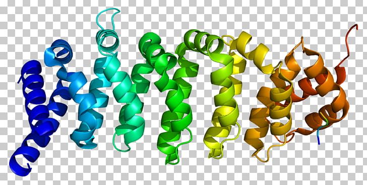 Calcium-binding Protein Gene Threonine PNG, Clipart, Ampactivated Protein Kinase, Binding Protein, Cab, Calciumbinding Protein, Chromosome Free PNG Download