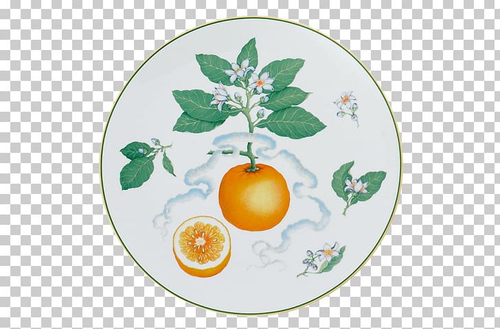 Citrus Mottahedeh & Company Christmas Ornament Tableware PNG, Clipart, Apple, Christmas, Christmas Ornament, Citrus, Dishware Free PNG Download