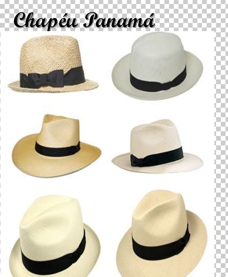 Fedora Panama Hat Fashion Sun Hat PNG, Clipart, 2016, 2017, Beach, Cake, Cake Decorating Free PNG Download