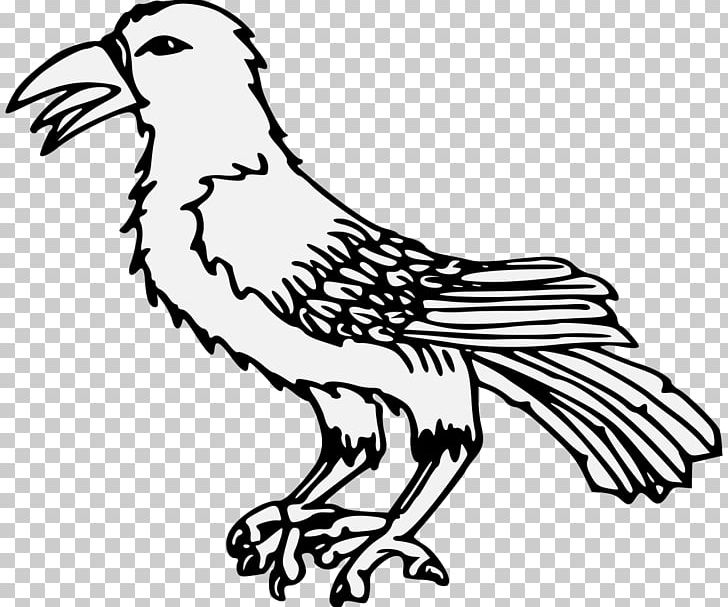 Chicken Line Art Common Raven PNG, Clipart, Animals, Art, Artwork, Beak, Bird Free PNG Download