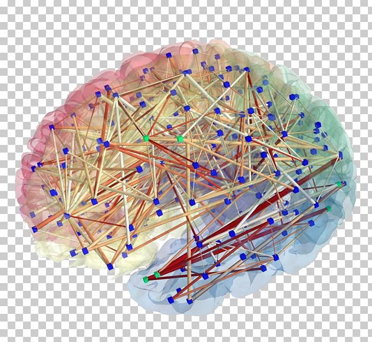 Human Connectome Project Brain Mapping Neuron PNG, Clipart, Brain, Brain Mapping, Cerebral Cortex, Connectome, Diffusion Mri Free PNG Download