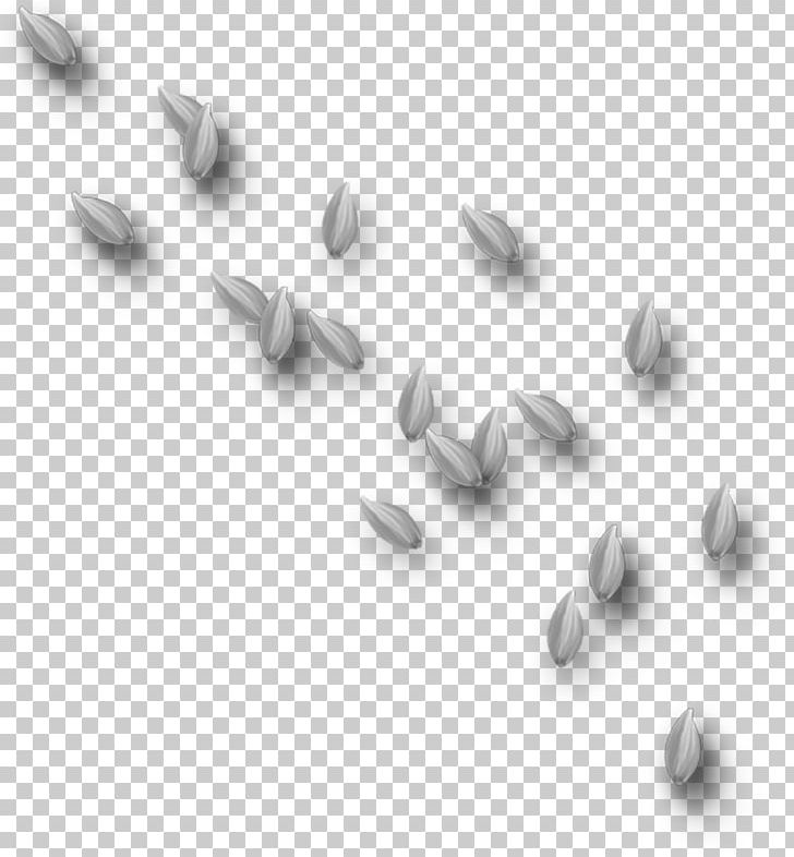 Petal Portable Network Graphics Flower Leaf Psd PNG, Clipart, Angle, Black And White, Download, Email, Flower Free PNG Download